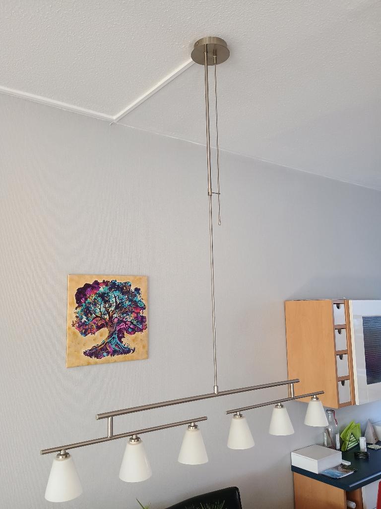 Hanglamp, Huis en Inrichting, Lampen | Hanglampen, Ophalen, Gebruikt, Glas
