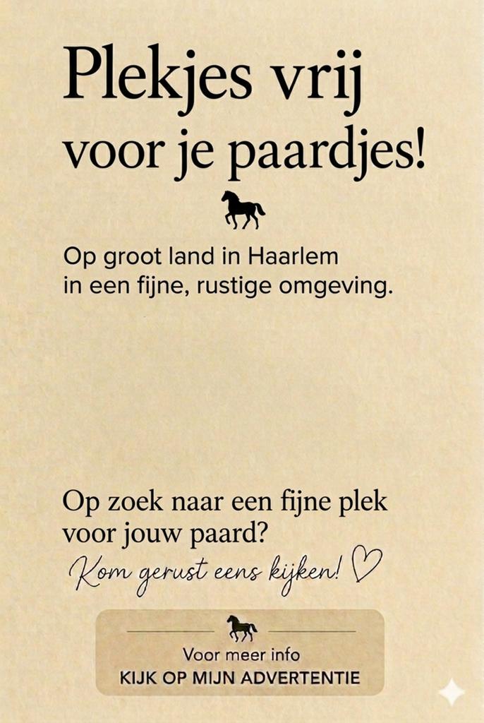 Plekjes vrij op groot land in haarlem/spaardam, Weidegang, 4 paarden of pony's of meer