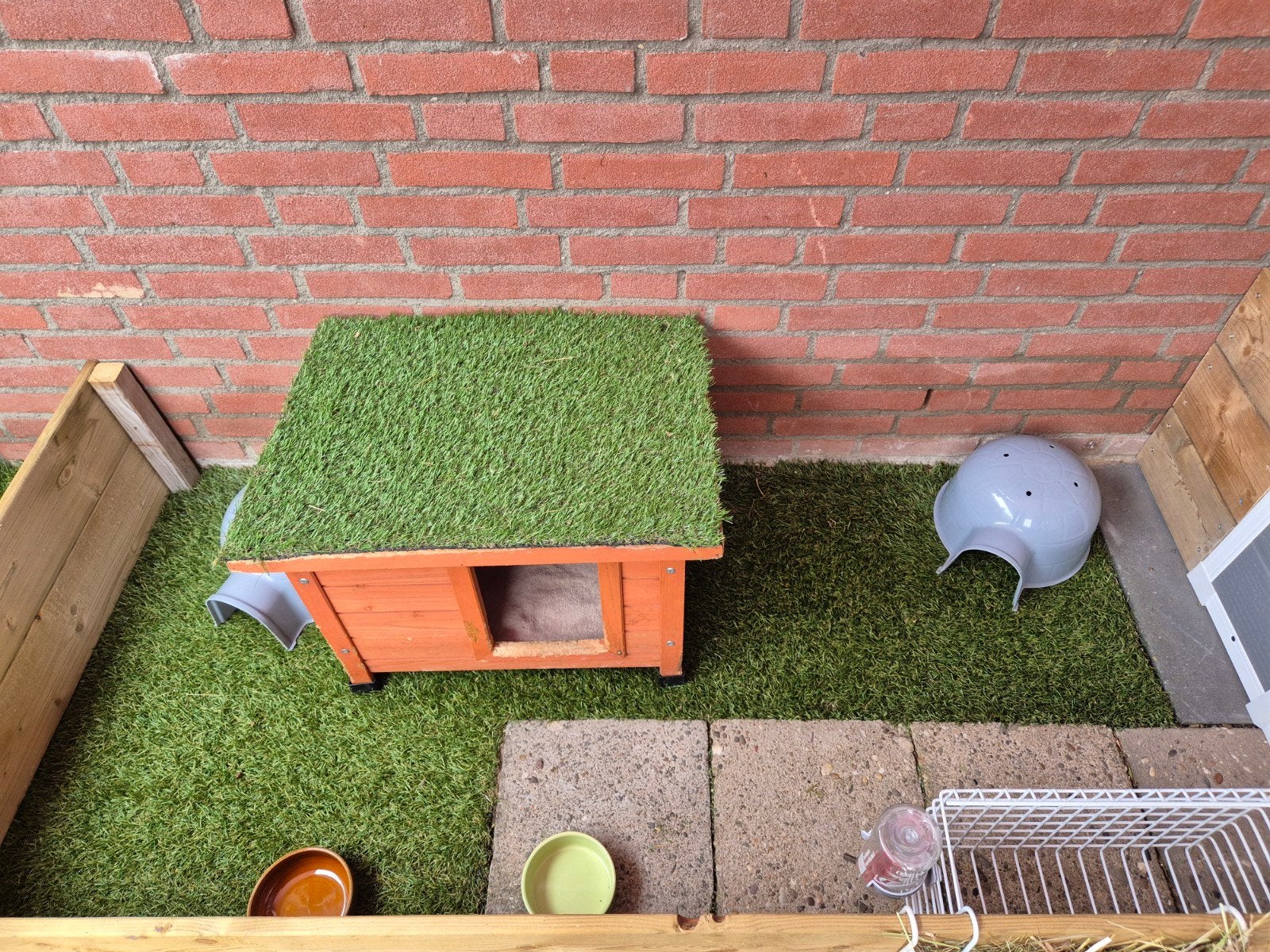 Foto 5 van kleinschalige cavia vakantie opvang