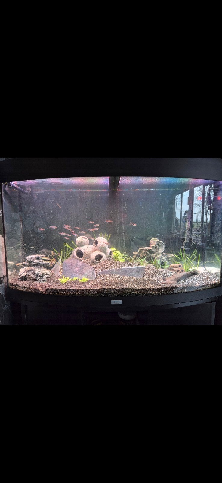 aquarium juwel vision 180, helialux lamp, extern filter, Dieren en Toebehoren, Ophalen, Inclusief vissen, Juwel, Gevuld zoetwateraquarium