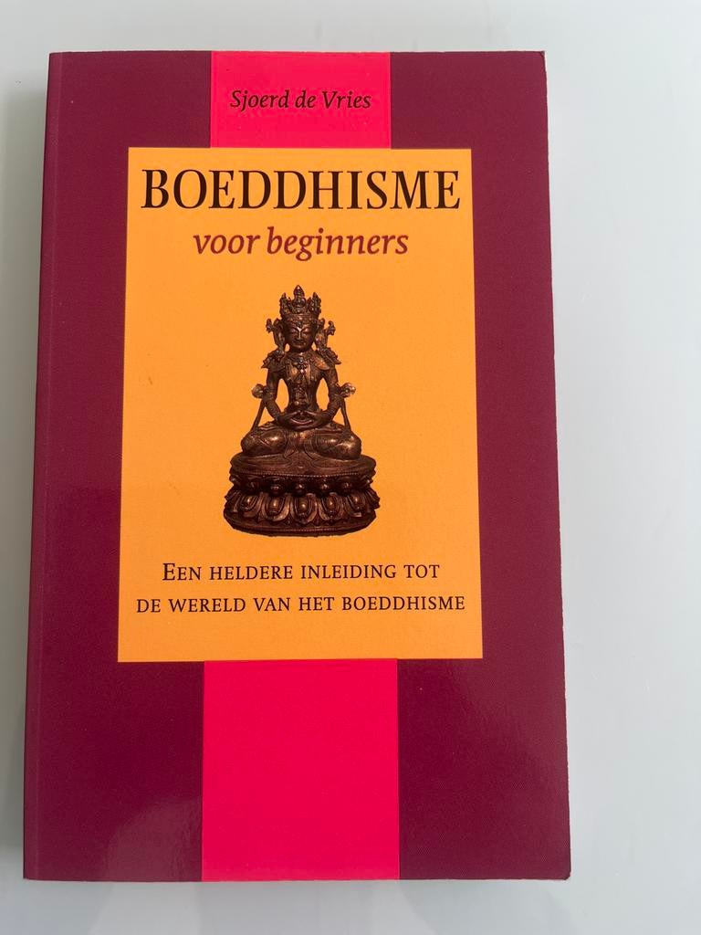 Boeddhisme voor beginners - Sjoerd de Vries, Ophalen of Verzenden, Gelezen, Boeddhisme