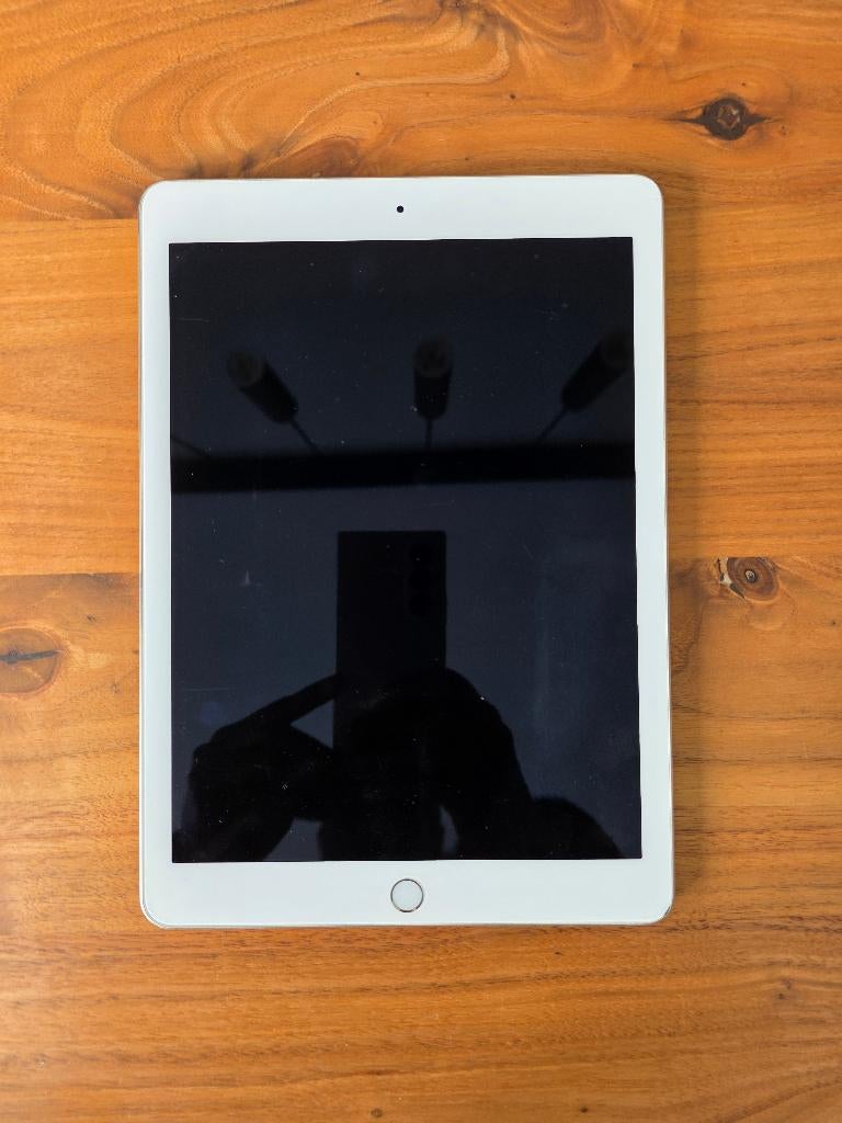 Apple iPad Pro 9,7 inch (2016) + Apple Pencil 1e generatie, 9 inch, Gebruikt, Apple iPad, Ophalen of Verzenden