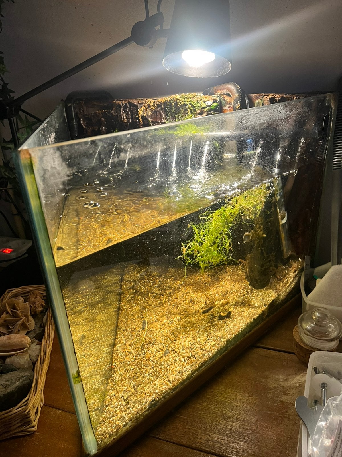 Aquarium driehoekig zonder lichtkap, Ophalen, Gebruikt, Leeg aquarium