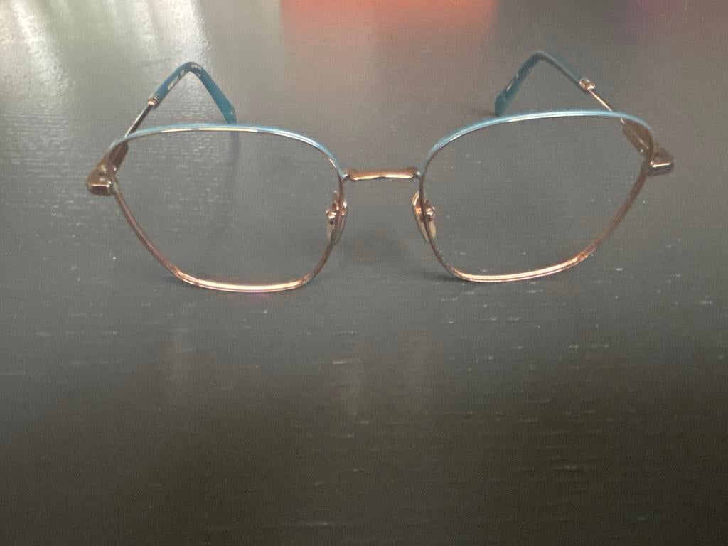 Stijlvolle bril - Etnia Barcelona, Overige merken, Blauw, Ophalen of Verzenden, Zo goed als nieuw