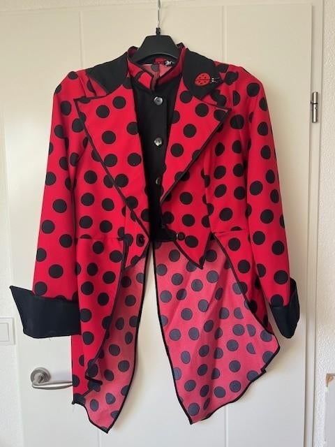Lieveheersbeestje slipjas dames mt 40 / carnaval, Carnaval, Zo goed als nieuw, Kleding, Geen merk