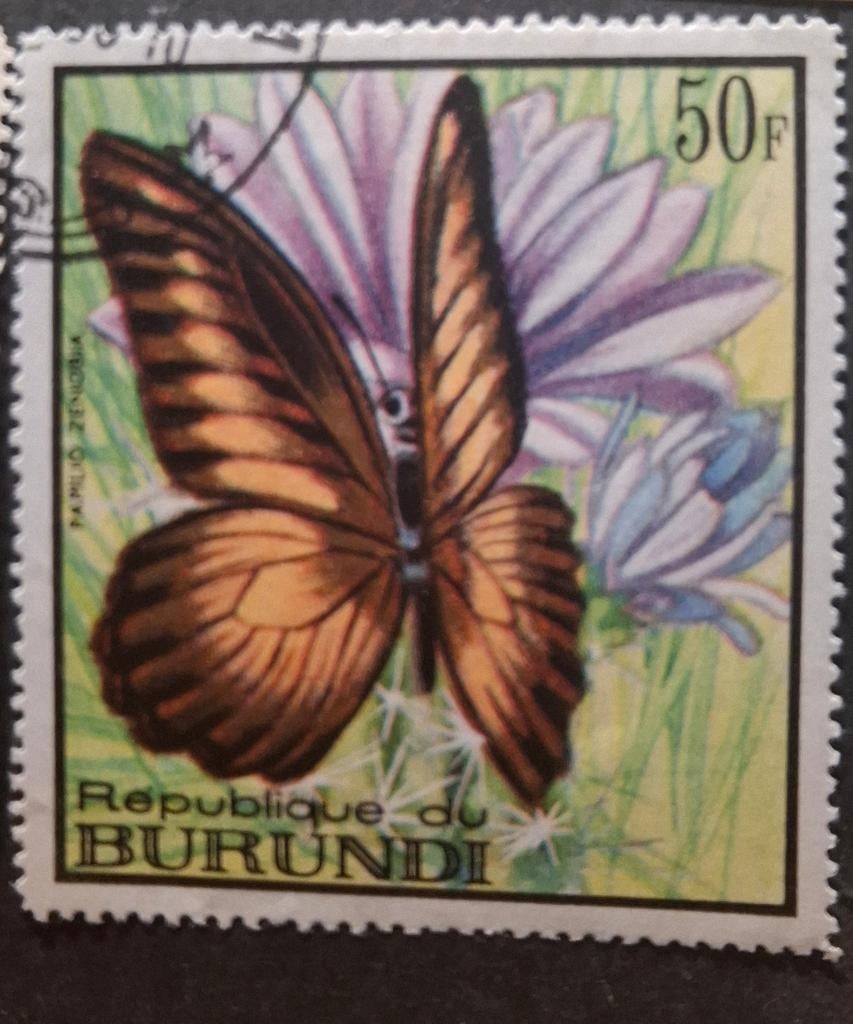 Burundi vlinder, Ophalen of Verzenden, Dier of Natuur