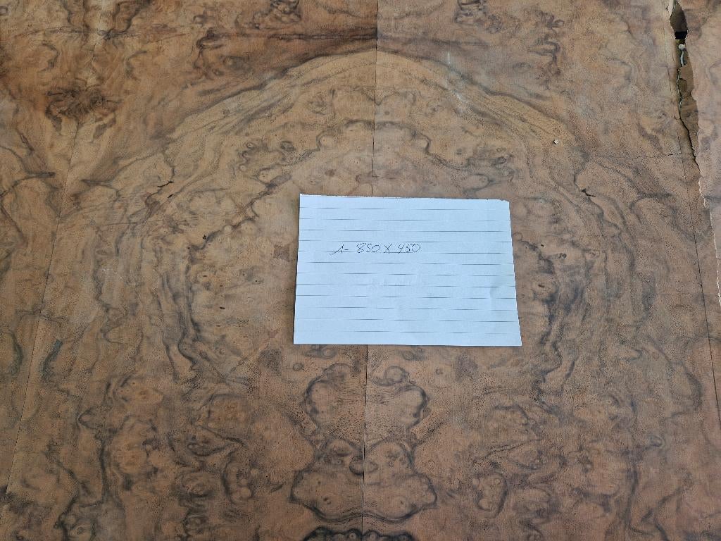 Wortelnoten fineer, Ophalen, Nieuw