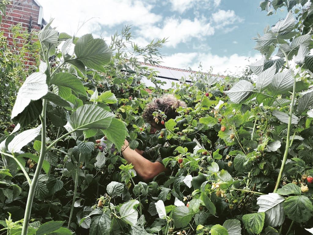 TerraSon Ecologische Hovenier/Gardener, Bestrating