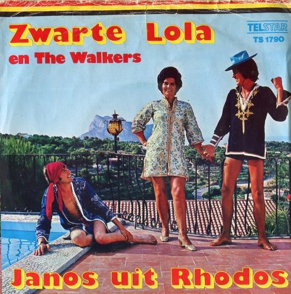 The walkers nl gezocht, Cd's en Dvd's, Vinyl | Nederlandstalig, Ophalen of Verzenden, Zo goed als nieuw, Overige formaten, Levenslied of Smartlap