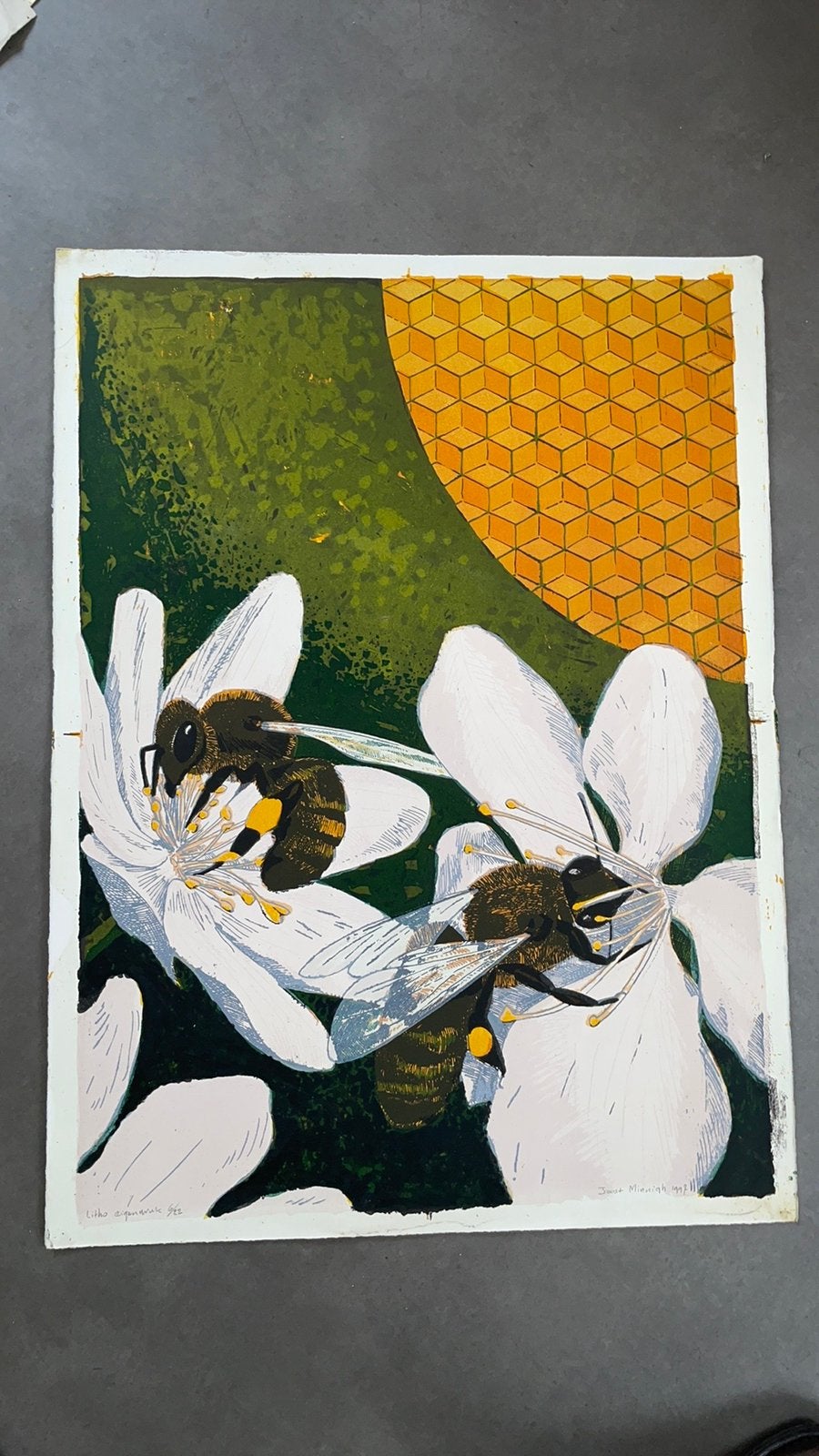 Diverse lithos/etsen Joost Minnigh  €200,- tot 300,-, Gelimiteerde oplage, Ophalen of Verzenden, Lithografie, Dieren en Natuur