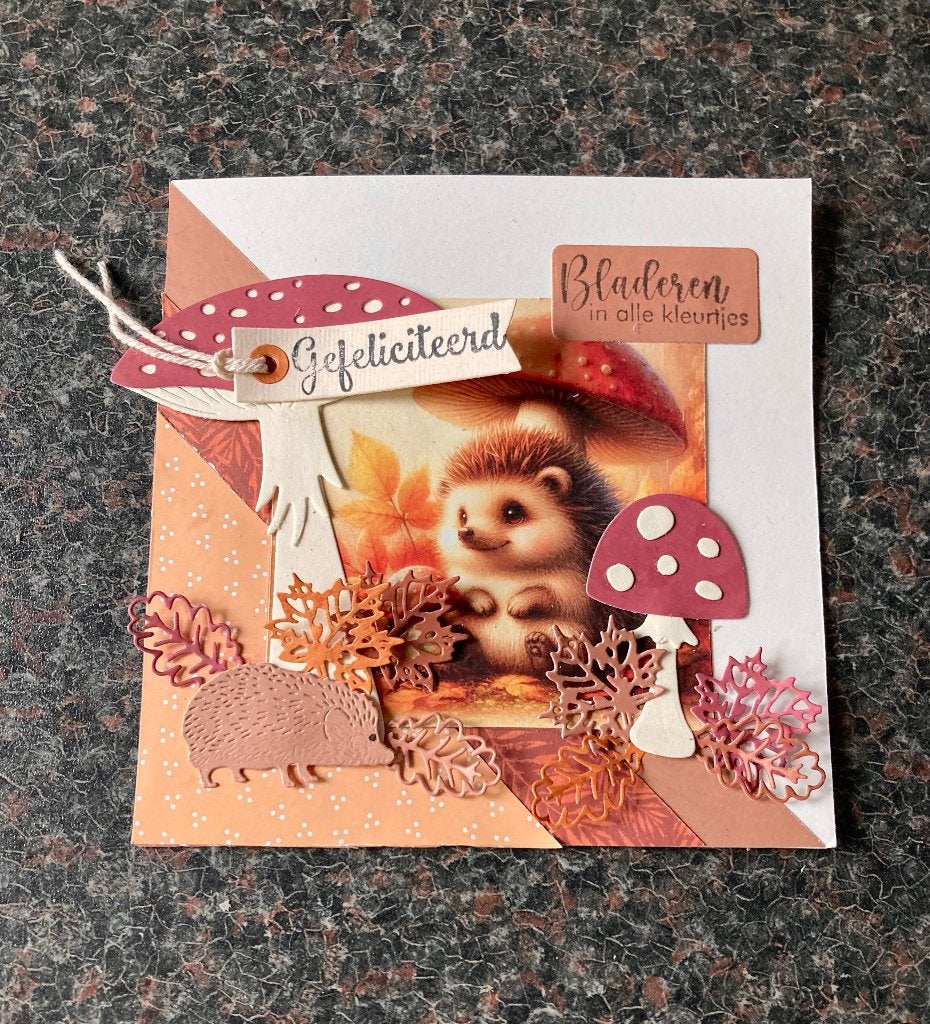 Prachtige luxe felicitatiekaarten, € 1,00, Hobby en Vrije tijd, Kaarten | Zelfgemaakt, Ophalen of Verzenden, Nieuw, Man of Vrouw