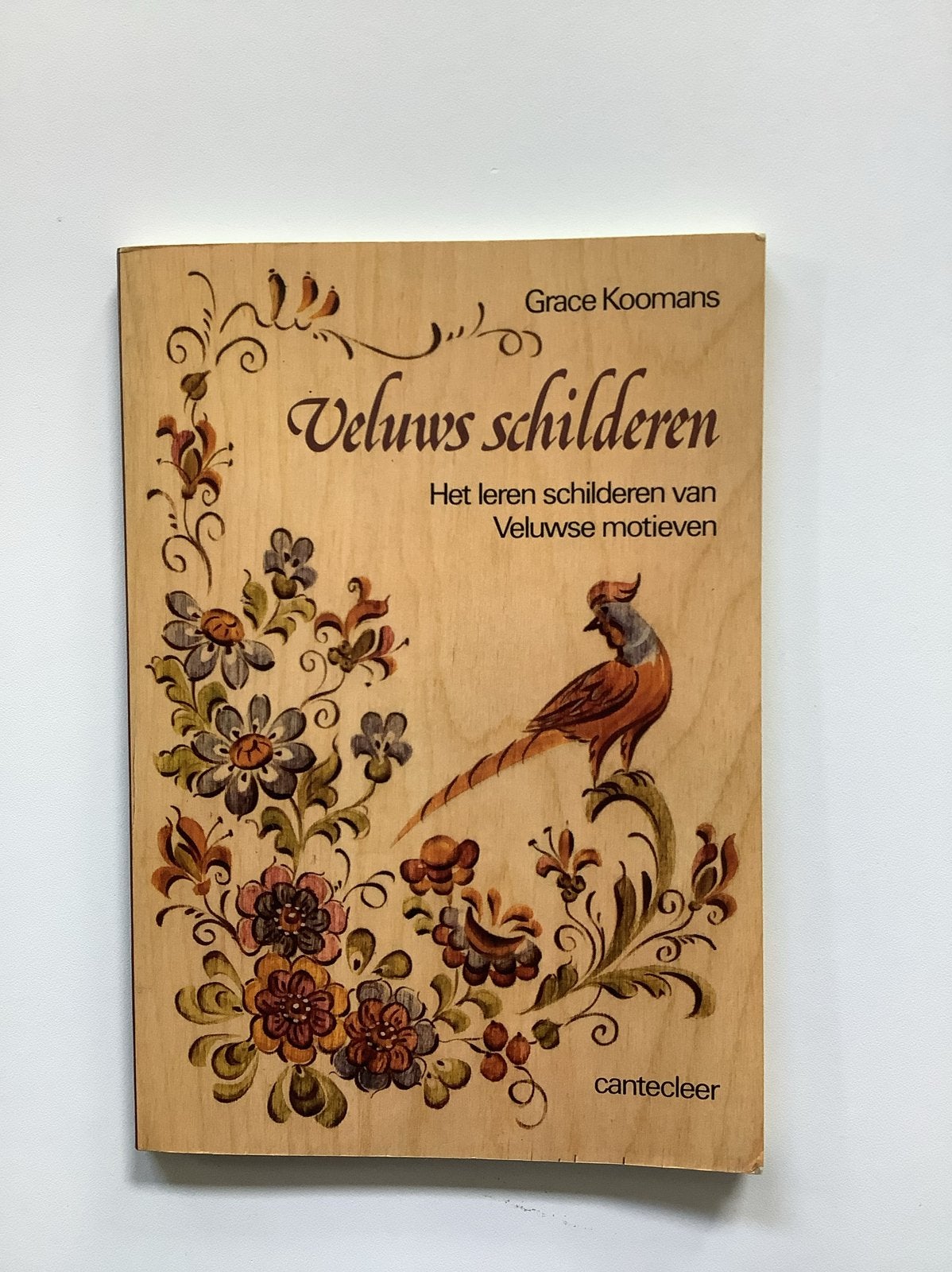 Veluws Schilderen: Het leren schilderen van motieven, Ophalen of Verzenden, Gebruikt, Overige typen