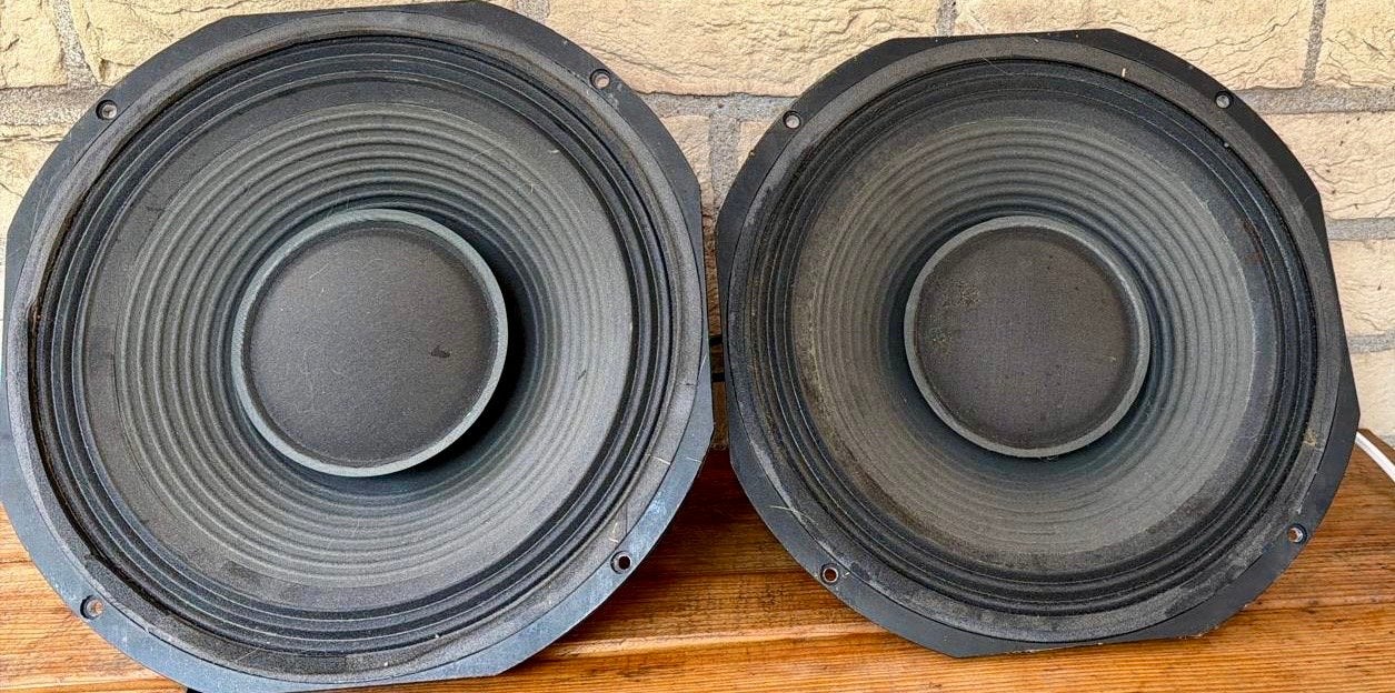2 Fane Classic 12/100 CT speakers - 100 watt, Gebruikt, Overige typen, 60 tot 120 watt, Ophalen