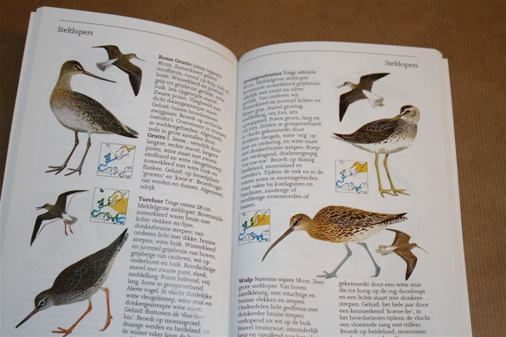 Vogels in Europa. Natuurgids. Jim Flegg., Ophalen of Verzenden, Zo goed als nieuw, Vogels