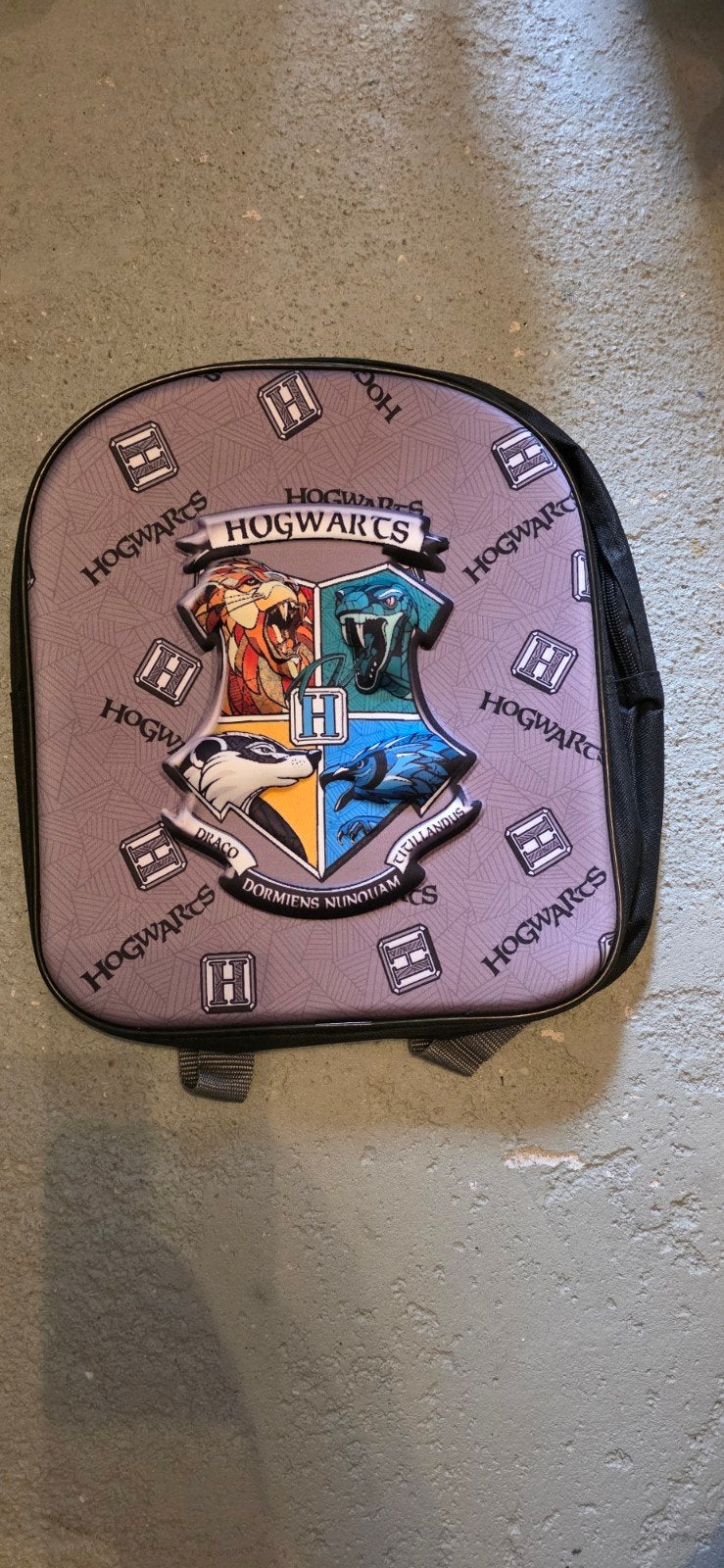 Nieuwe Harry Potter Hogwarts Rugzak - Ideaal voor Fans!, Ophalen of Verzenden, Nieuw, Grijs, Overige merken