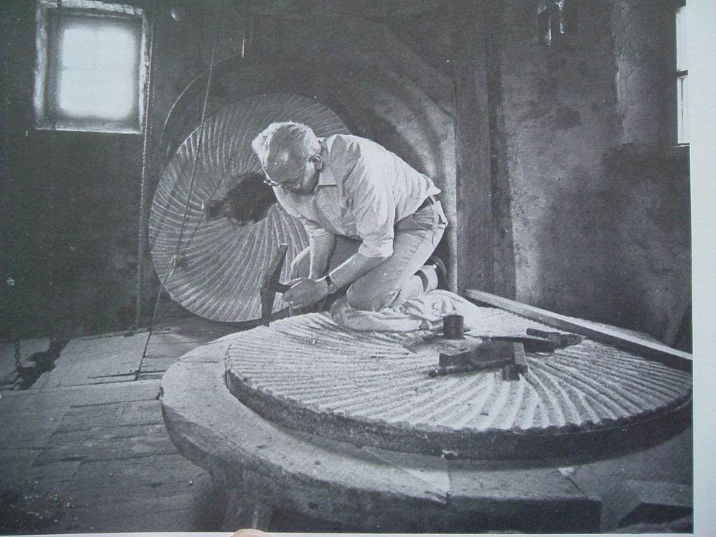 Dank zij wind en water. Molens in Noord-Limburg., Gelezen, 19e eeuw, Ophalen of Verzenden, A. Lamberts