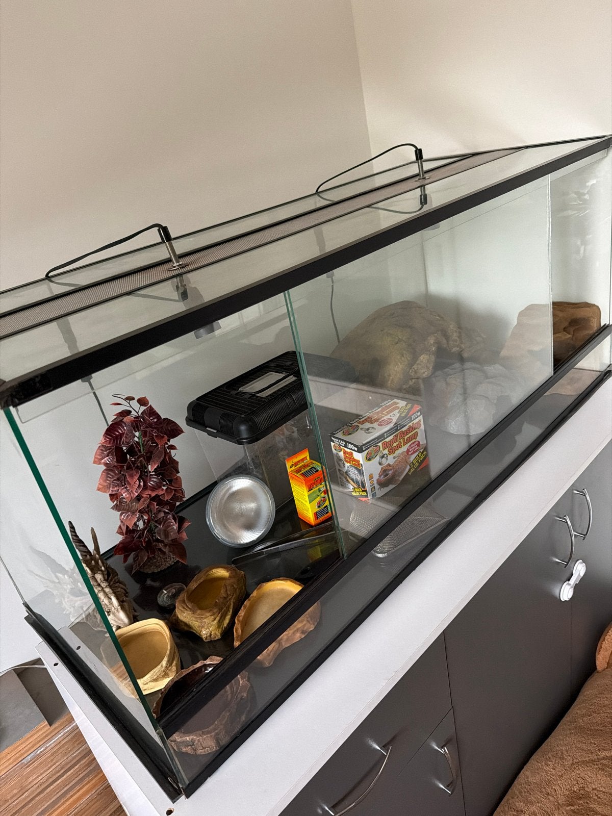 Terrarium met veel toebehoren, Ophalen, Zo goed als nieuw, Terrarium of Paludarium