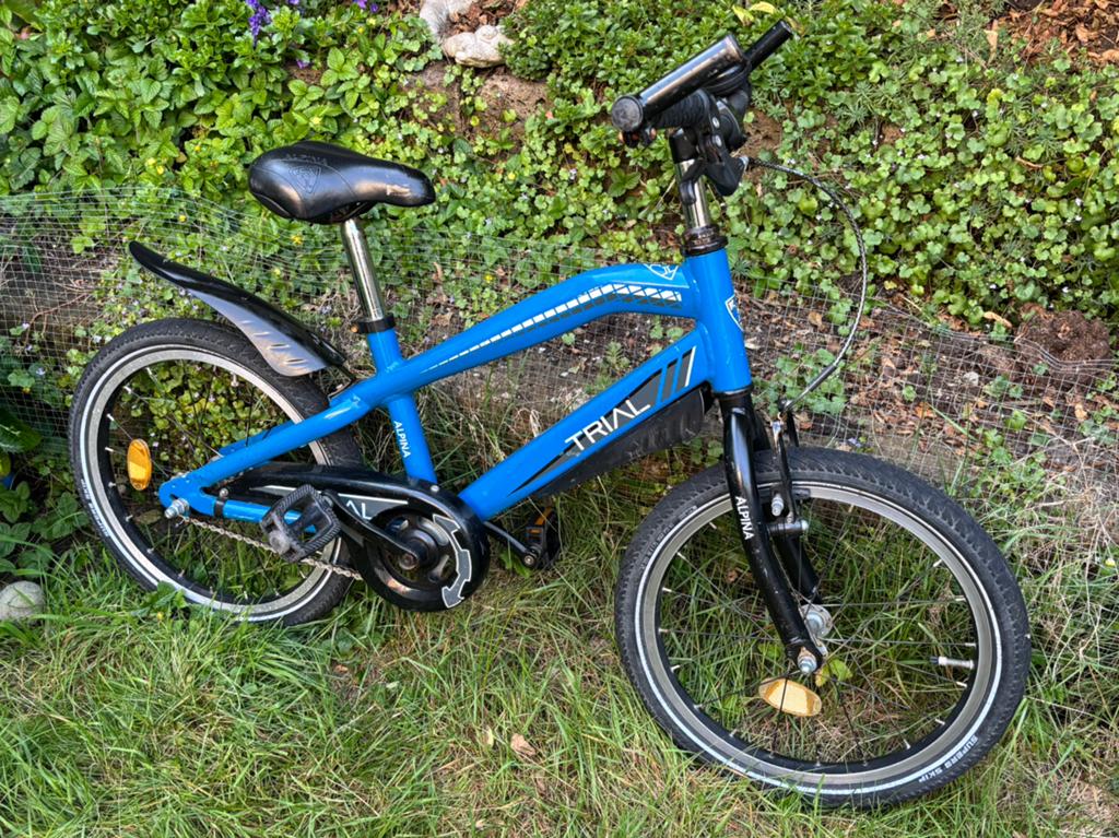 Alpina Trial 18 inch, Fietsen en Brommers, Ophalen, Gebruikt, Terugtraprem, 16 tot 20 inch