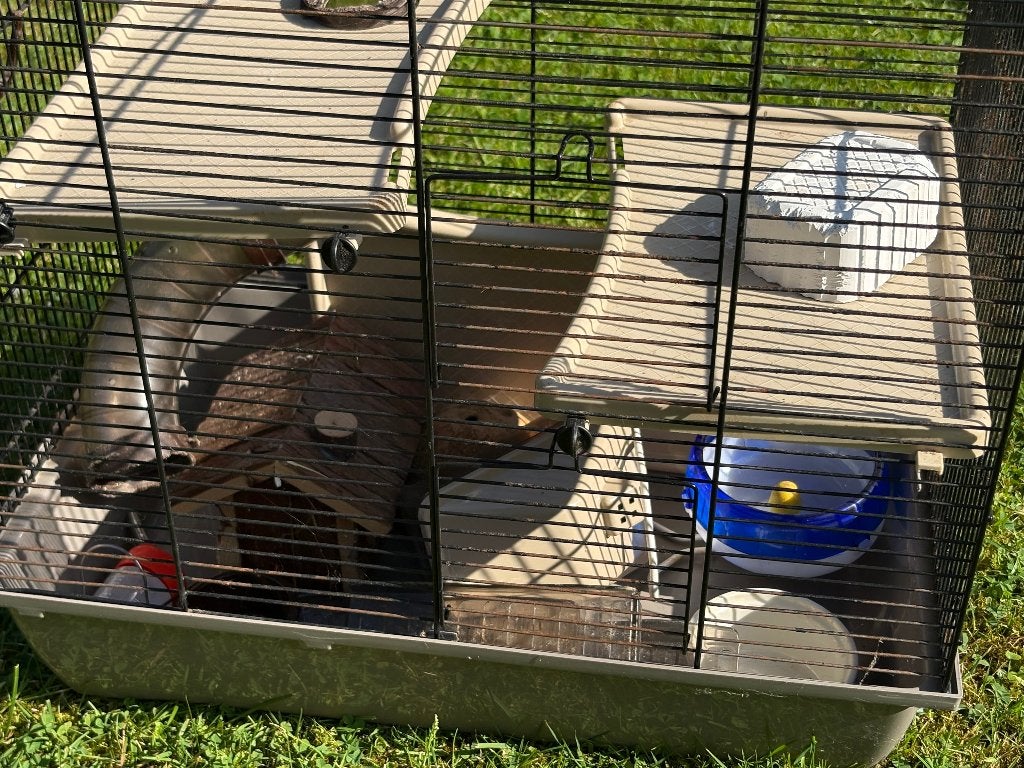 Hamsterkooi, Dieren en Toebehoren, Kooi, Gebruikt, Minder dan 75 cm, Ophalen