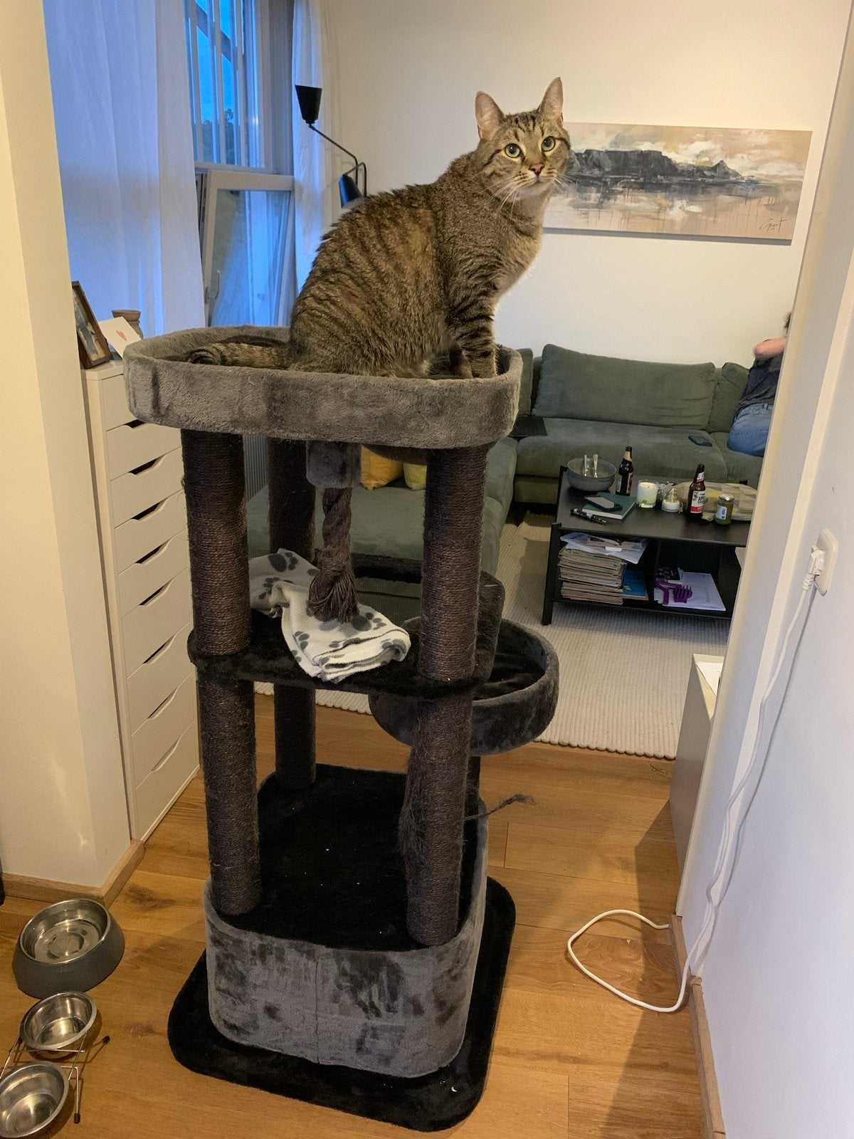 Kattentoren, Dieren en Toebehoren, Katten-accessoires, Ophalen, Gebruikt