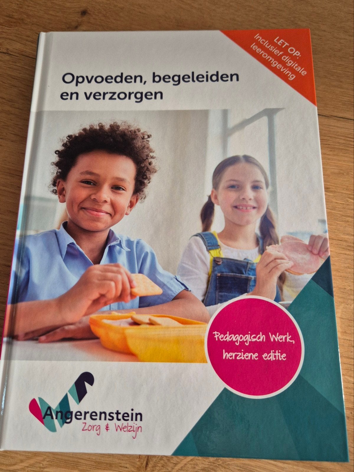 Opvoeden, begeleiden en verzorgen - Angerenstein, Boeken, Schoolboeken, Ophalen of Verzenden, Zo goed als nieuw, Angerenstein