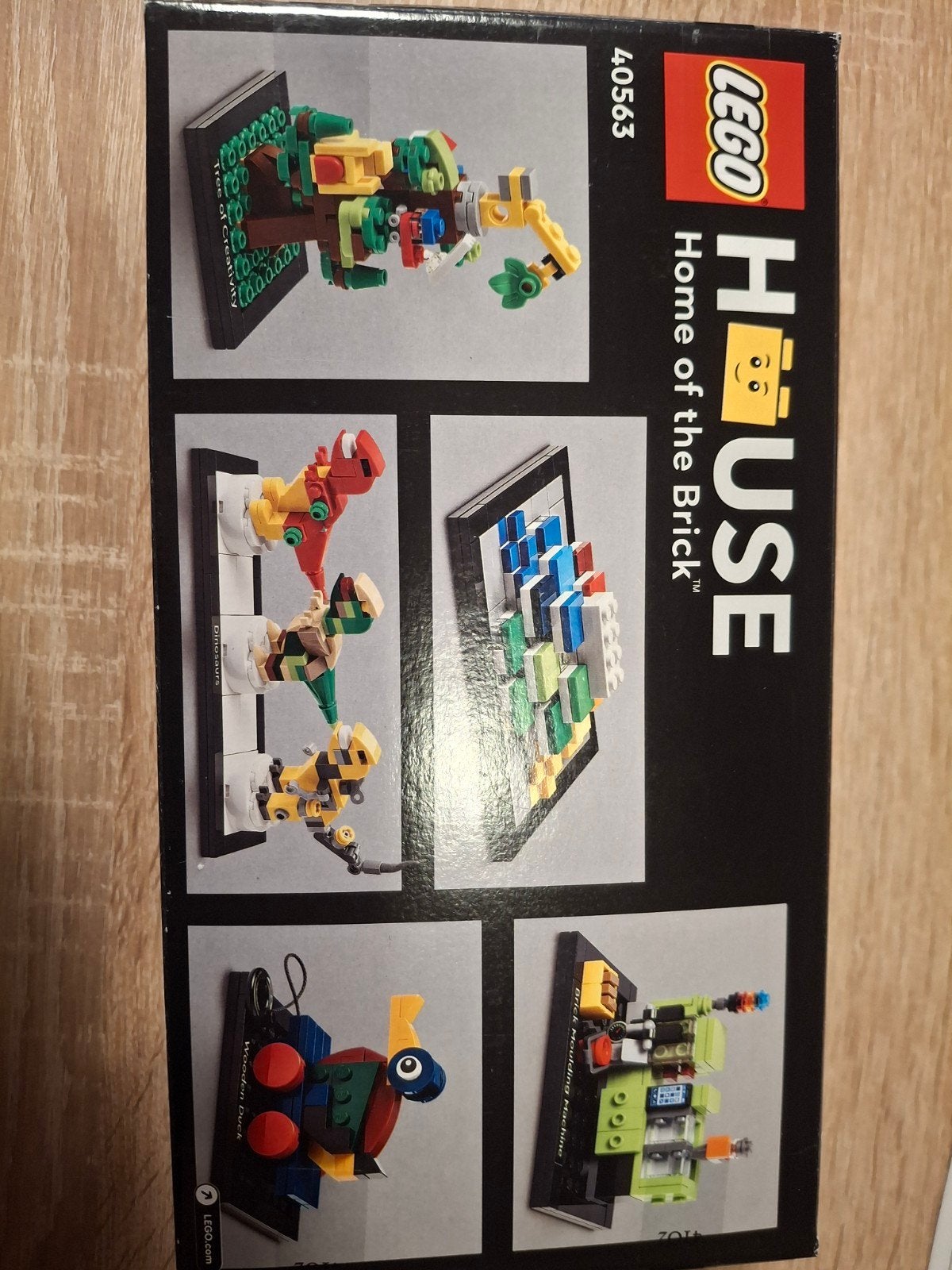 LEGO House 40563 Home of the Brick - Nieuw in doos, Ophalen of Verzenden, Nieuw