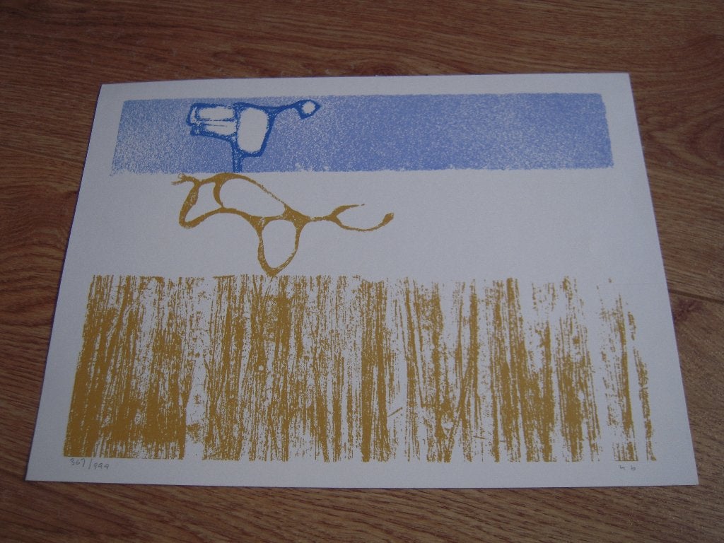 Genummerde en gesigneerde litho/zeefdruk., Antiek en Kunst, Kunst | Litho's en Zeefdrukken, Gesigneerd, Ophalen of Verzenden, Overige onderwerpen