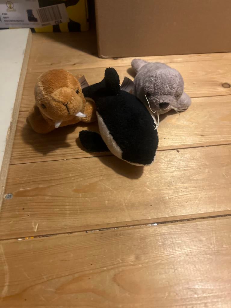 Knuffels: Walrus, Orka en Zeehond - Zo goed als nieuw, Overige merken, Overige karakters, Overige typen, Ophalen of Verzenden