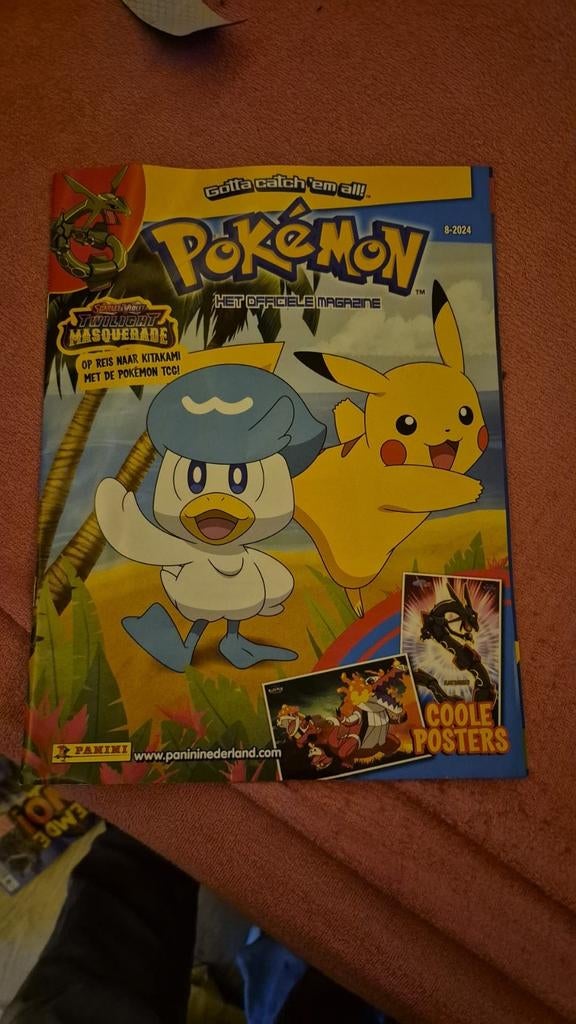 Boek, Hobby en Vrije tijd, Verzamelkaartspellen | Pokémon, Ophalen of Verzenden, Zo goed als nieuw, Boek of Catalogus