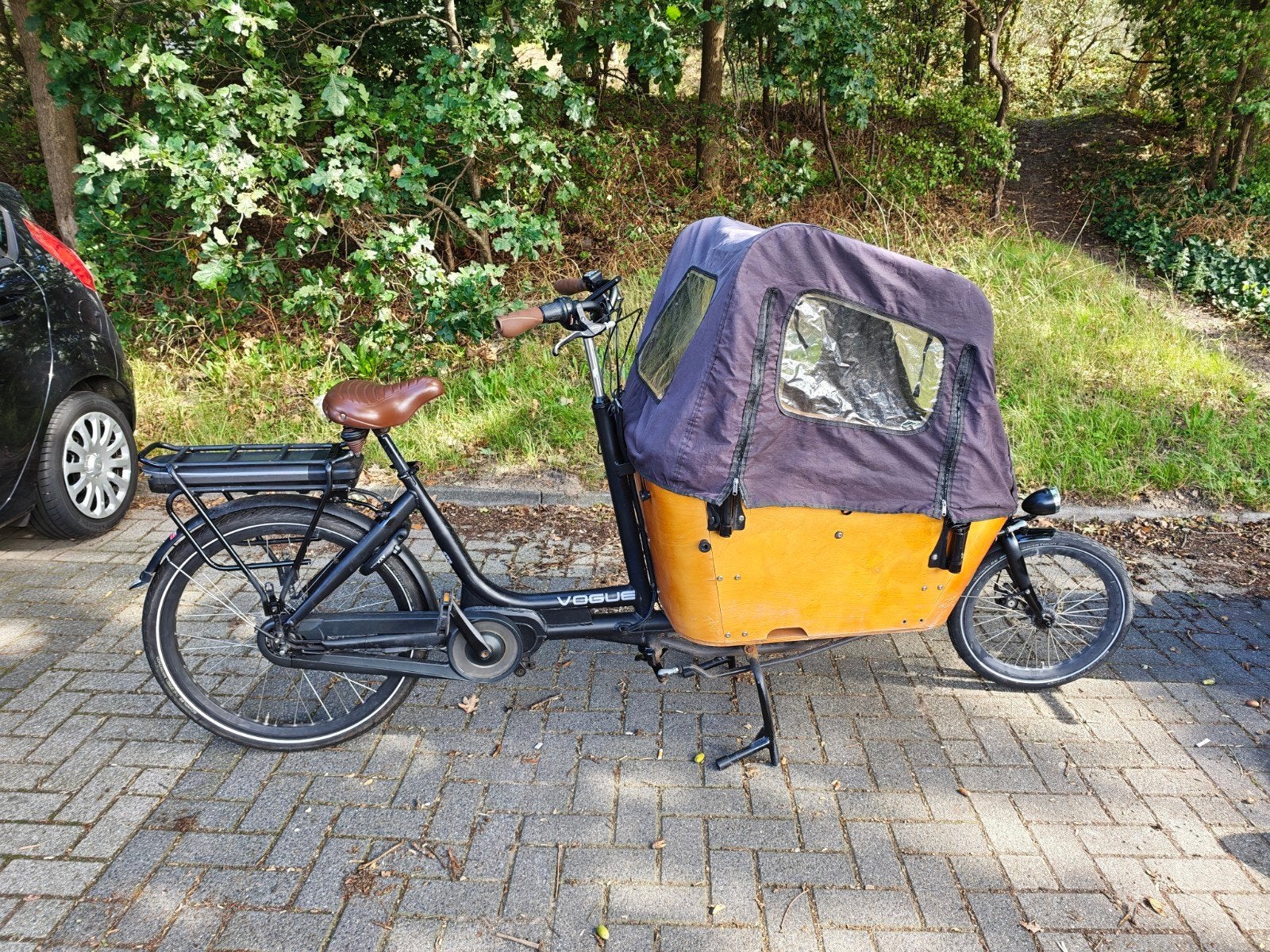 Vogue carry 2 met nieuwe accu!, 4 kinderen of meer, Gebruikt, Ophalen of Verzenden, Elektrisch