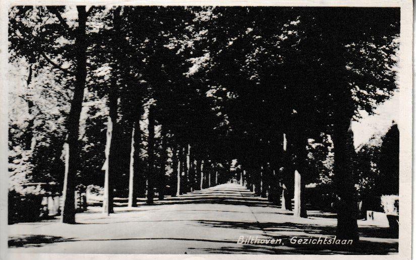 BILTHOVEN - GEZICHTSLAAN, Ophalen of Verzenden, Gelopen, Utrecht