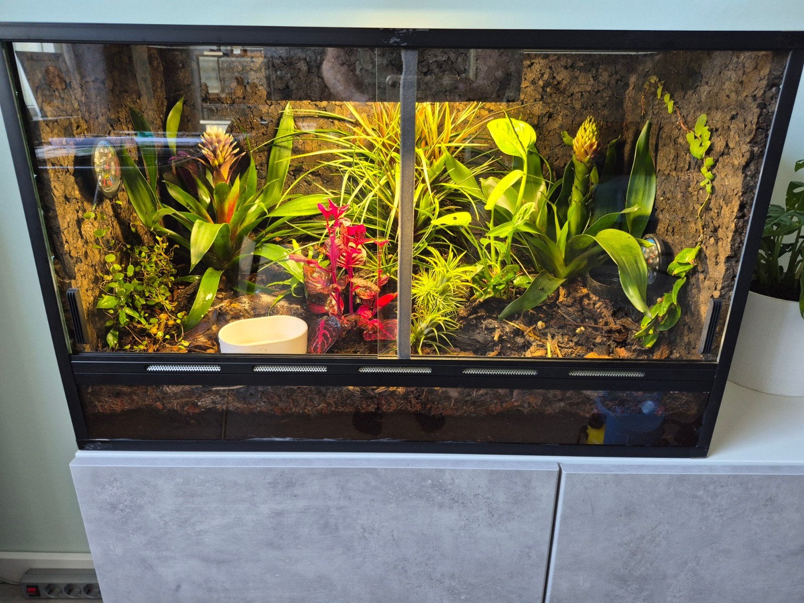 vivarium paludarium Terrarium, Ophalen, Zo goed als nieuw, Terrarium of Paludarium