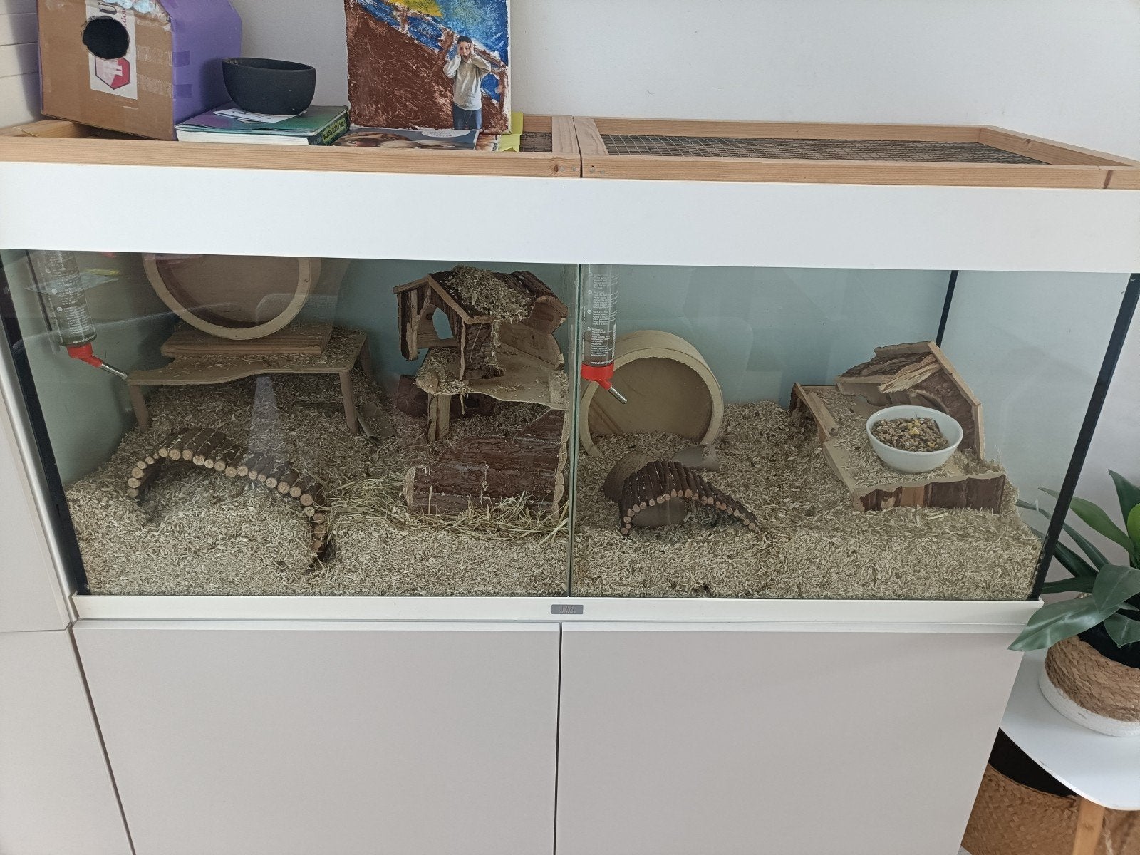 aquarium/terrarium, Kooi, 110 cm of meer, Muis, Zo goed als nieuw