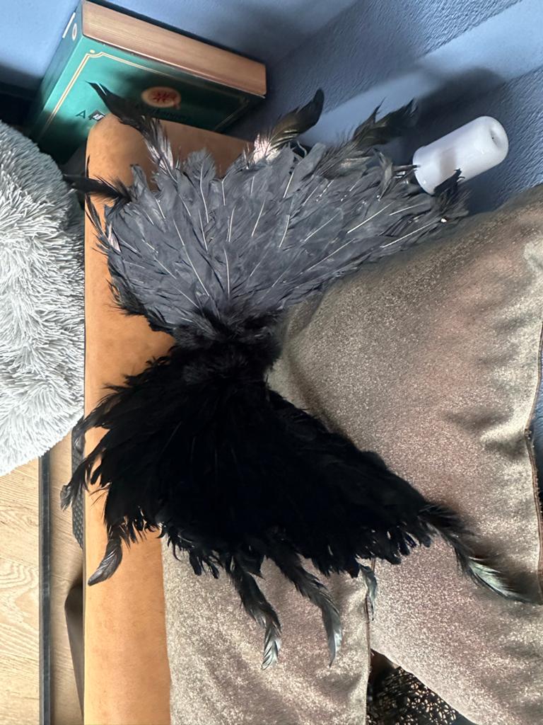 Zwarte Veren Vleugels - Cosplay/Carnaval Accessoire, Hobby en Vrije tijd, Ophalen of Verzenden, Zo goed als nieuw, Accessoires