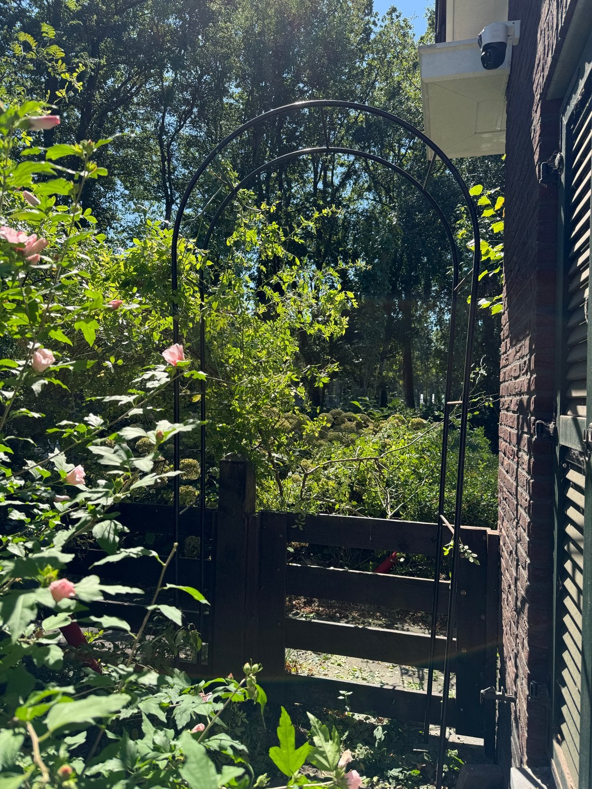 Metalen Tuinboog / Rozenboog, Ophalen, Gebruikt