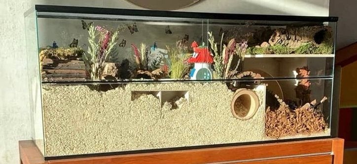 Hamsterscaping terrarium 140x50x60, Dieren en Toebehoren, Ophalen, 60 tot 90 cm, 110 cm of meer, Gebruikt