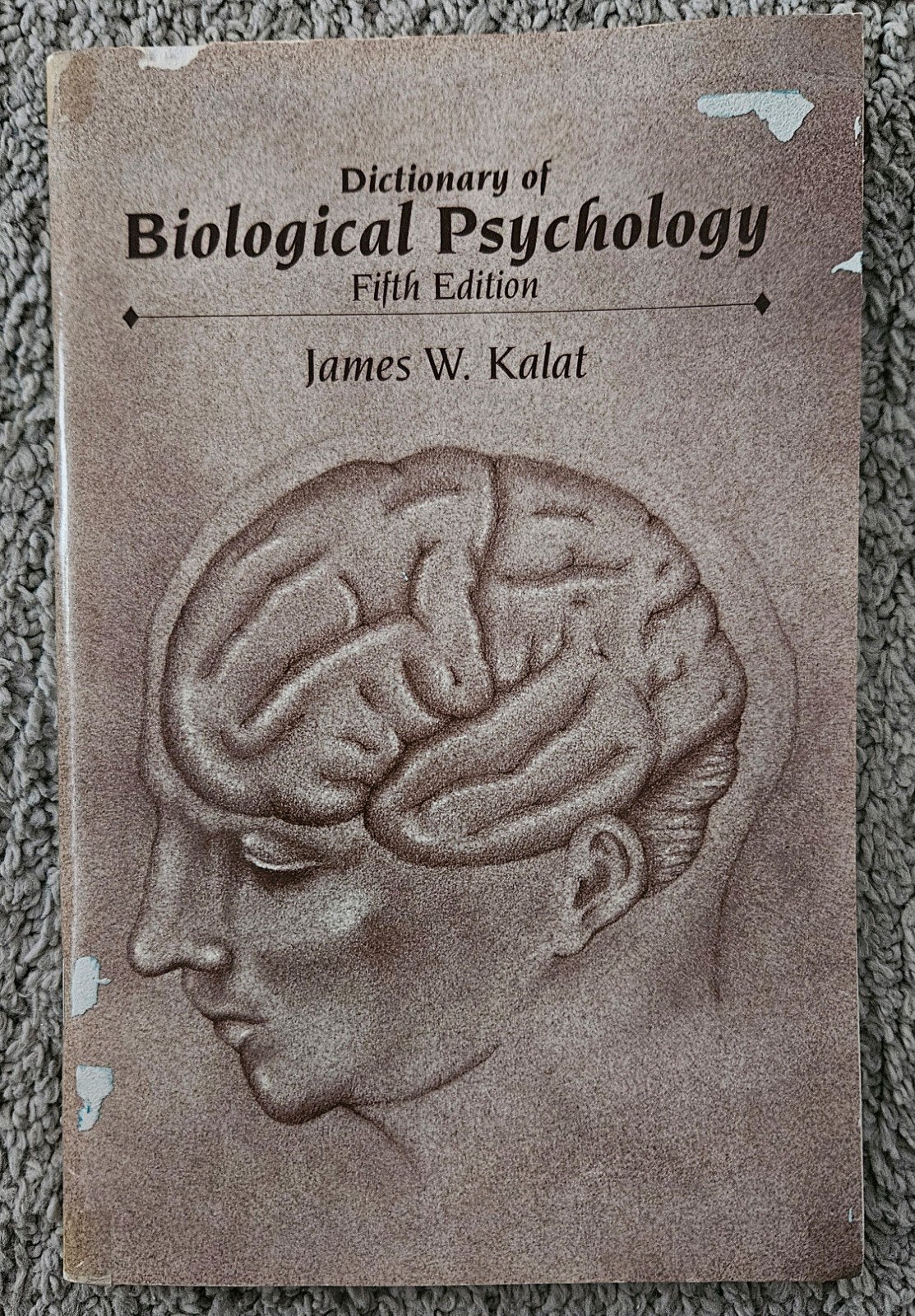 Dictionary of Biological Psychology - James W. Kalat, Gelezen, Ophalen of Verzenden, WO, Beta