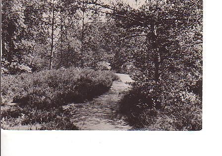Ansichtkaart	Voorthuizen 	De Zanderij	Camping, Verzenden, 1940 tot 1960, Gelopen, Gelderland