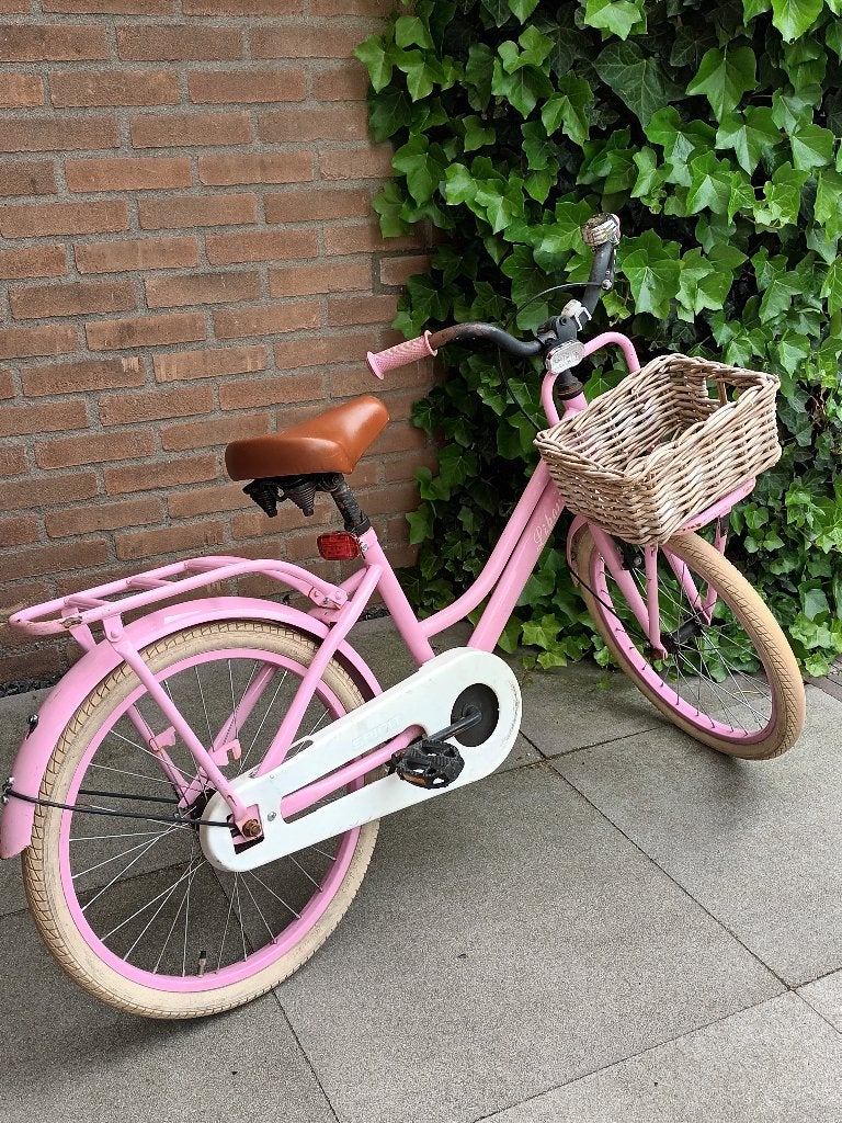 Roze meisjesfiets 20 inch Liberty, Overige merken, Terugtraprem, Gebruikt, Ophalen of Verzenden