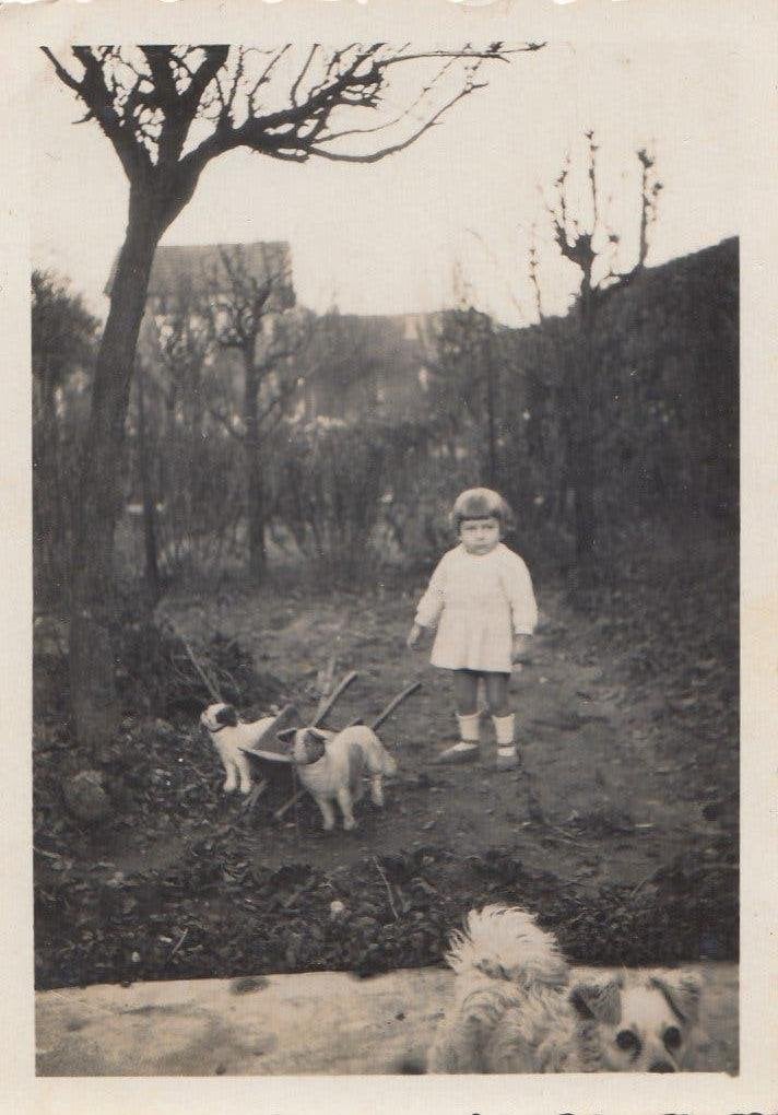 Frankrijk jaren dertig - Kindje met 3 hondjes, Gebruikt, Foto, Ophalen of Verzenden, Voor 1940