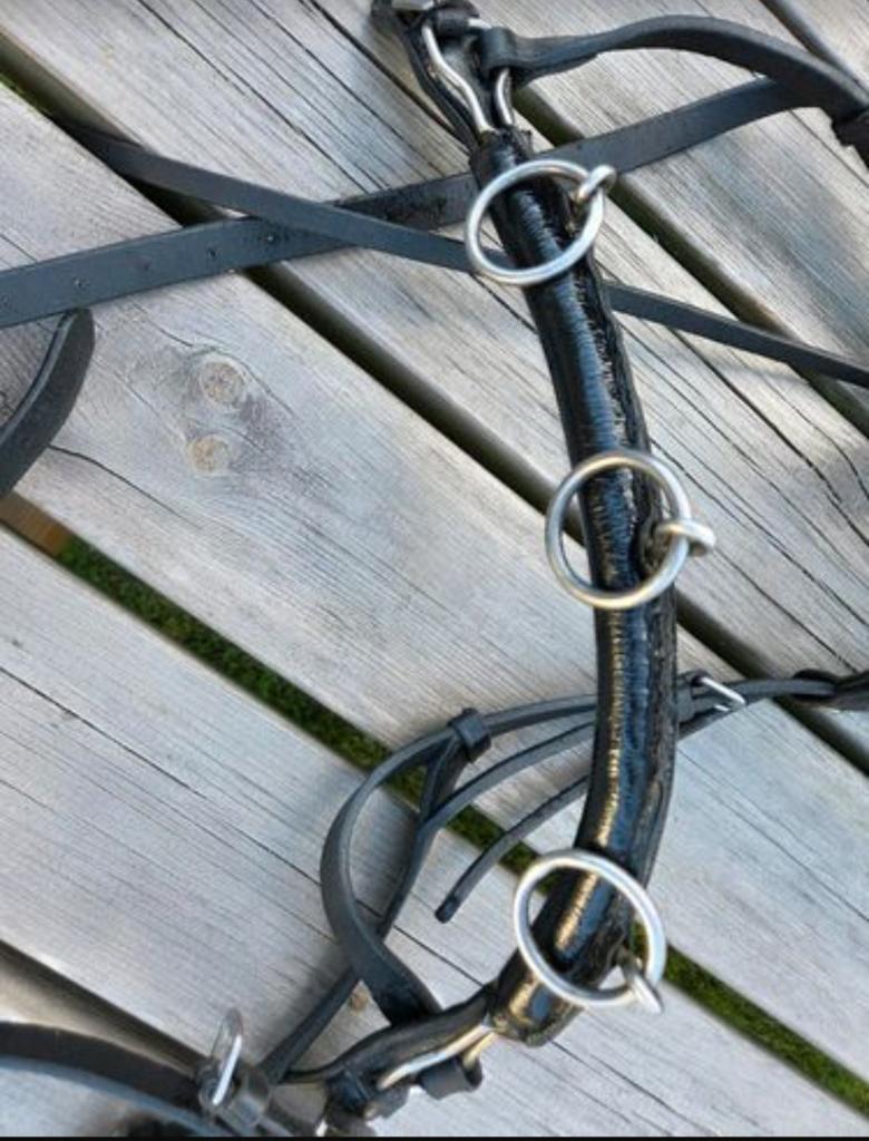 Leren kaptoom rondgenaaide neusriem, Dieren en Toebehoren, Paarden en Pony's | Hoofdstellen en Tuigage, Ophalen of Verzenden, Dressuur