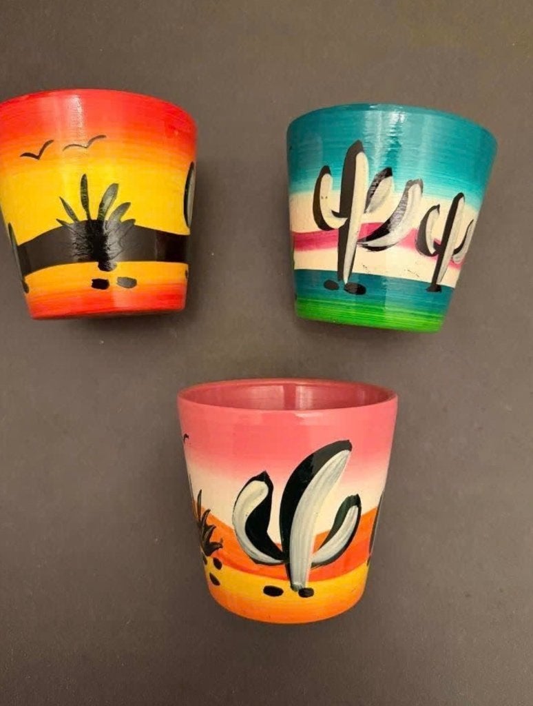 Bloempotjes cactus, Rond, Ophalen of Verzenden, Aardewerk, Binnen