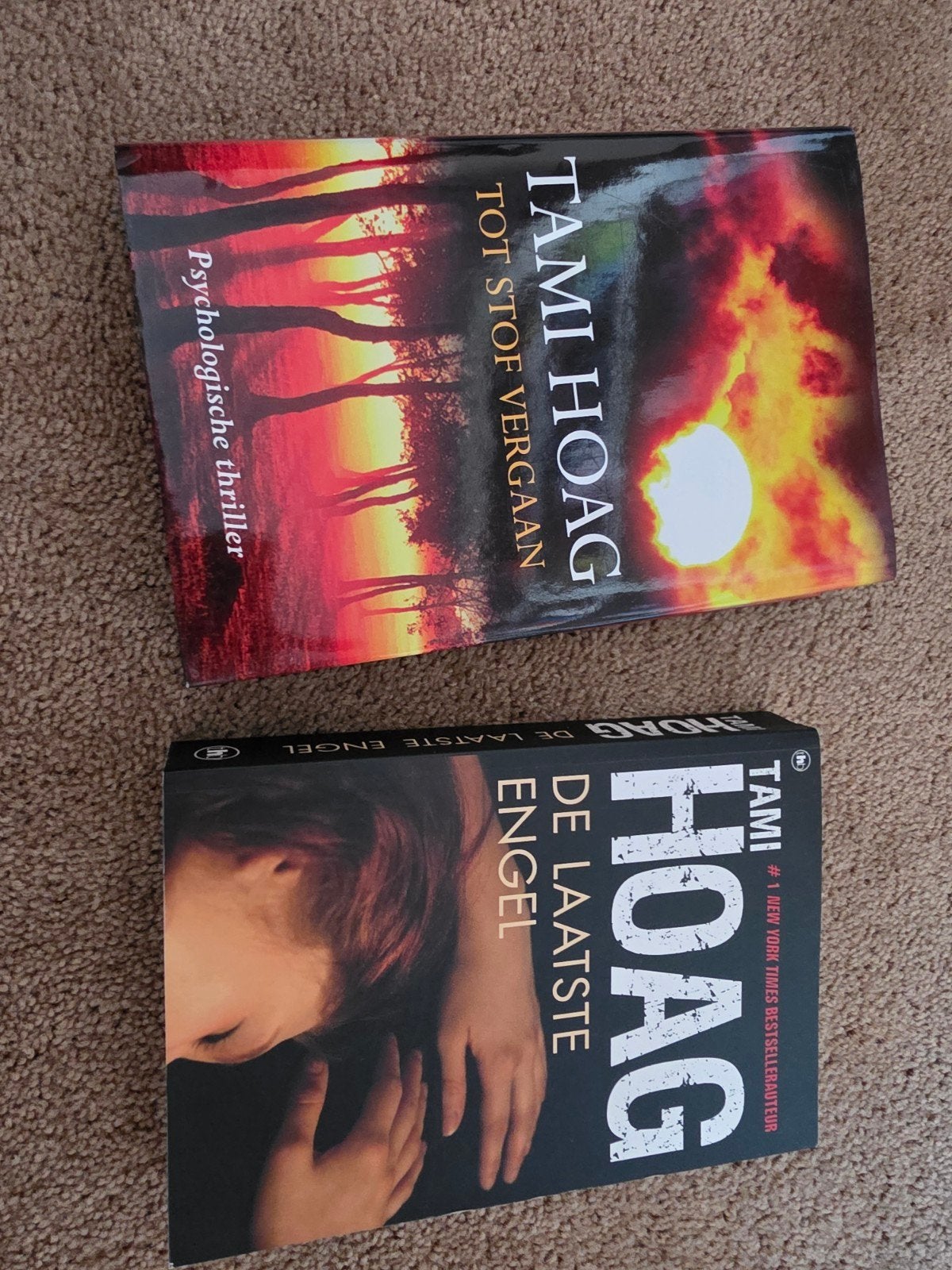 Boeken Tami Hoag, Boeken, Ophalen of Verzenden, Zo goed als nieuw, Tami Hoag