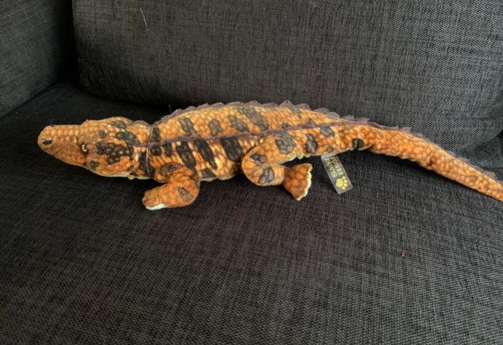 Pluche krokodil, Ophalen of Verzenden, Overige typen