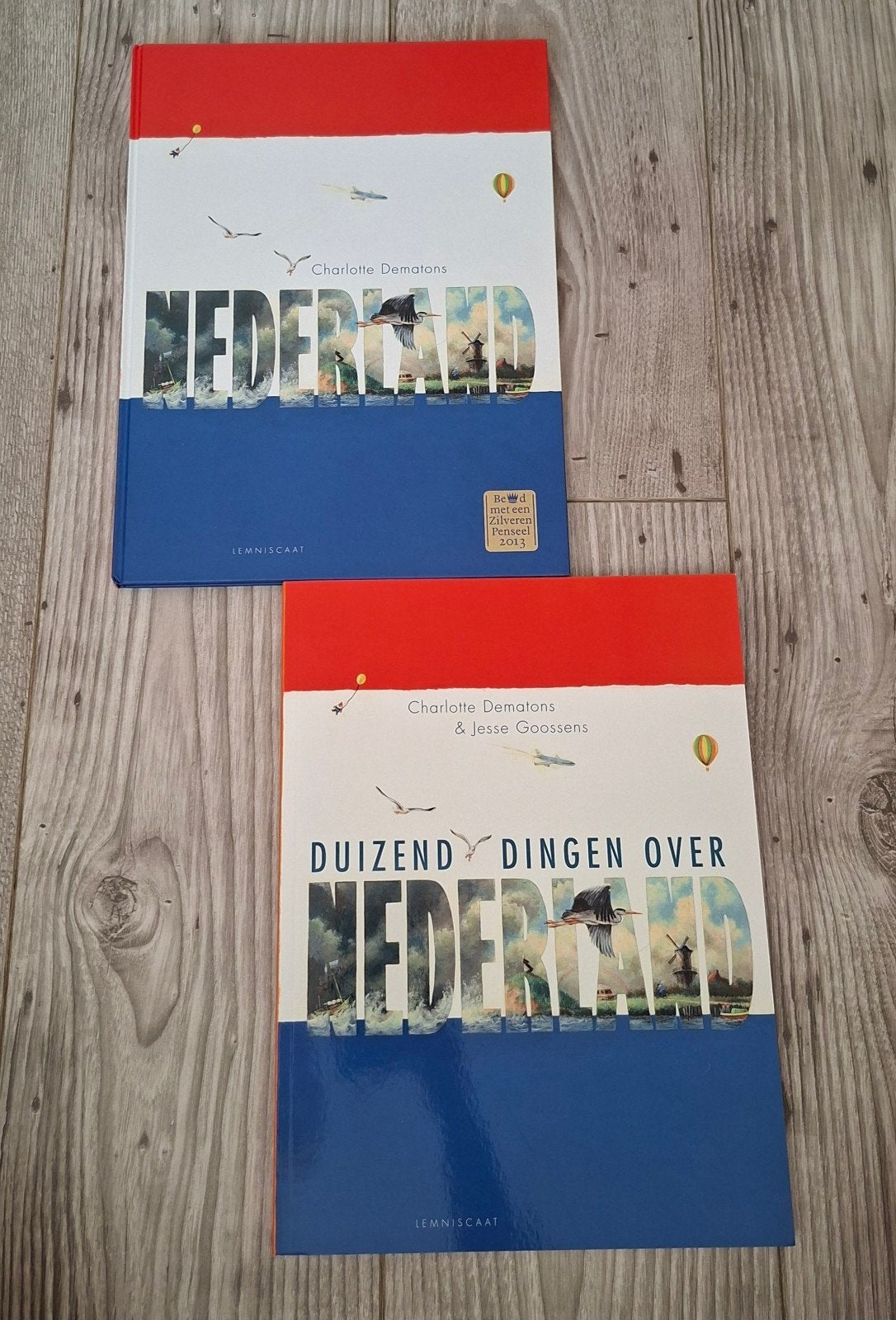 Nederland & Duizend Dingen over Nederland, Boeken, Ophalen of Verzenden, Zo goed als nieuw, Charlotte Dematons, Nederland