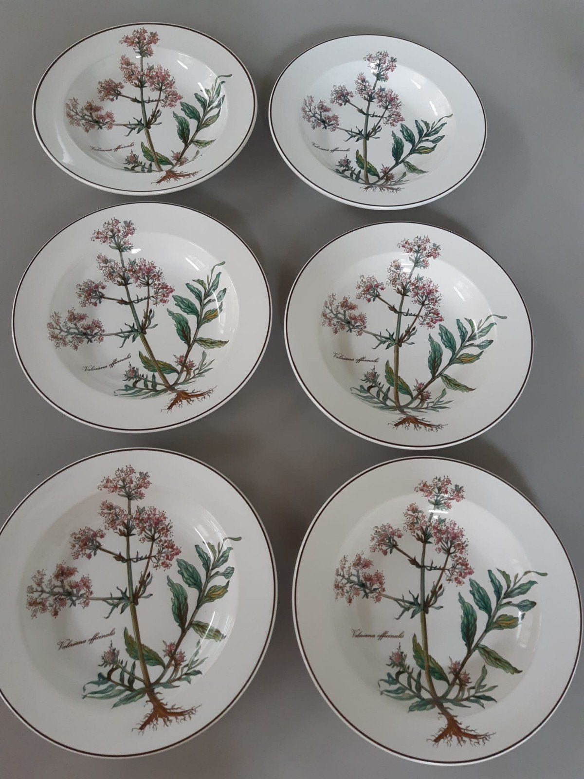 Diepe Borden Villeroy en Boch Botanica, 12 beschikbaar, Huis en Inrichting, Keuken | Servies, Nieuw, Ophalen of Verzenden, Bord(en)