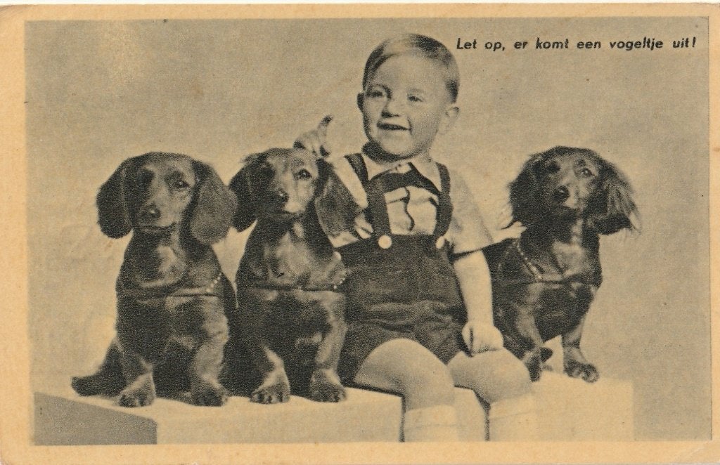 TECKEL TECKELS UIT 1941 ZEER MOOIE KAART KO139, Ophalen of Verzenden, 1940 tot 1960, Gelopen