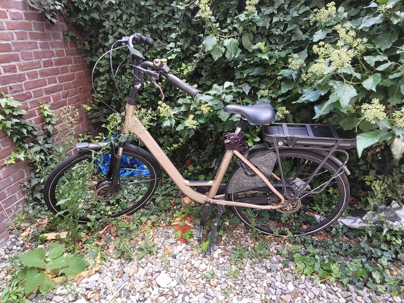 Stella Livorno Superior elektrische fiets - Lage instap, Ophalen, Gebruikt, Overige merken