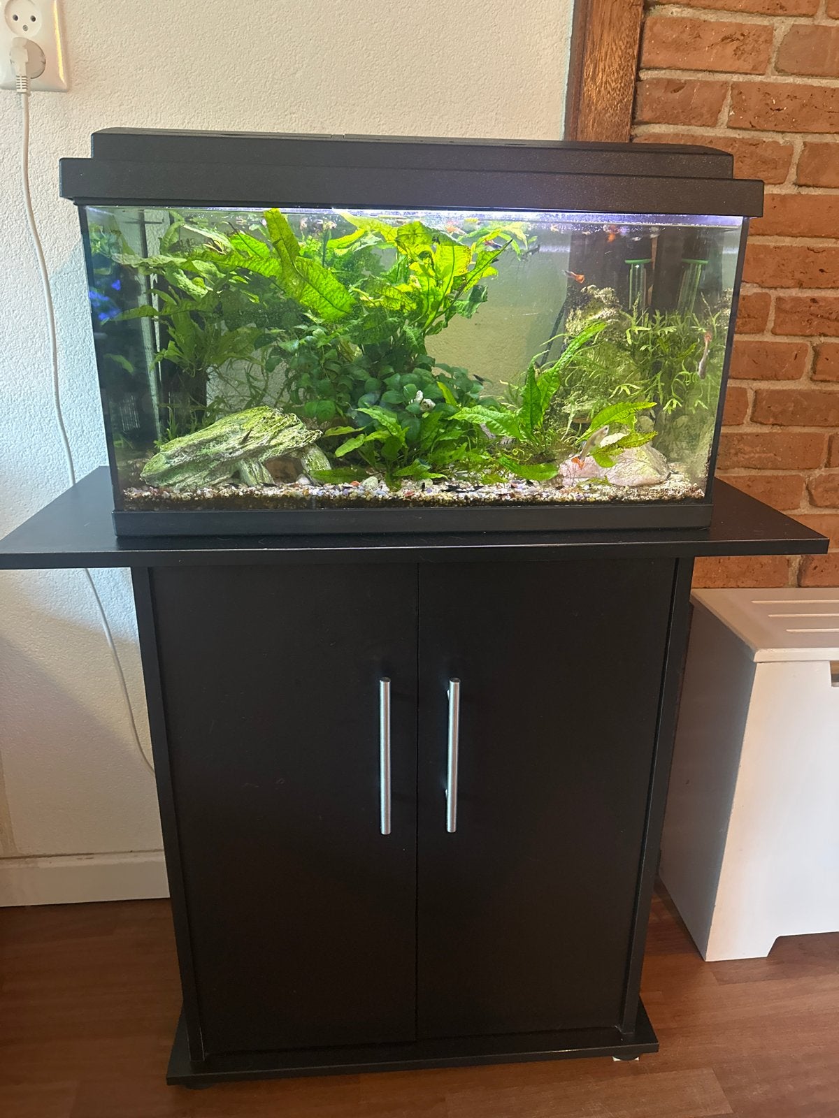 Aquarium met guppy’s, garnalen, algeneters incl toebehoren, Dieren en Toebehoren, Ophalen, Zo goed als nieuw, Gevuld zoetwateraquarium