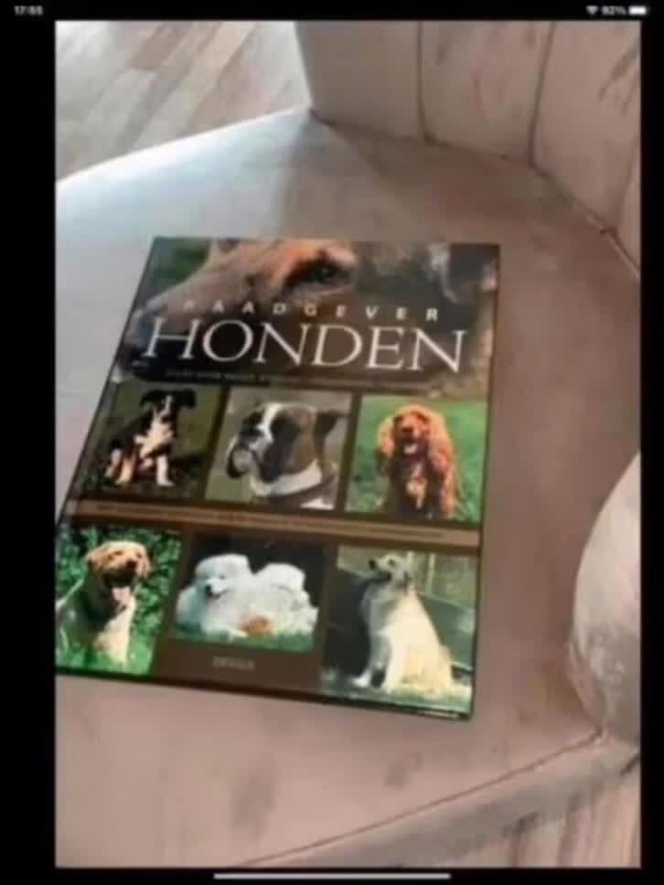 raadgever honden, Boeken, Dieren en Huisdieren, Verzenden, Zo goed als nieuw, Honden